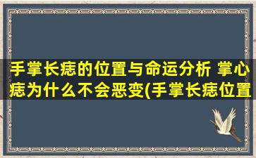 手掌长痣的位置与命运分析 掌心痣为什么不会恶变(手掌长痣位置与命运分析，中心一处痣为何不恶变？探秘*！)